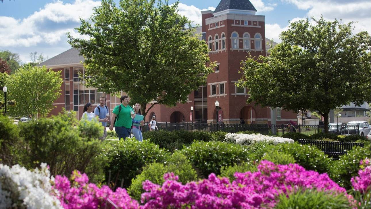 Student walk through campus in the spring. 